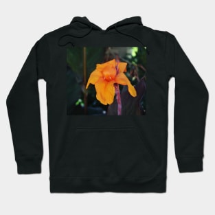 Orange Canna Lily Hoodie